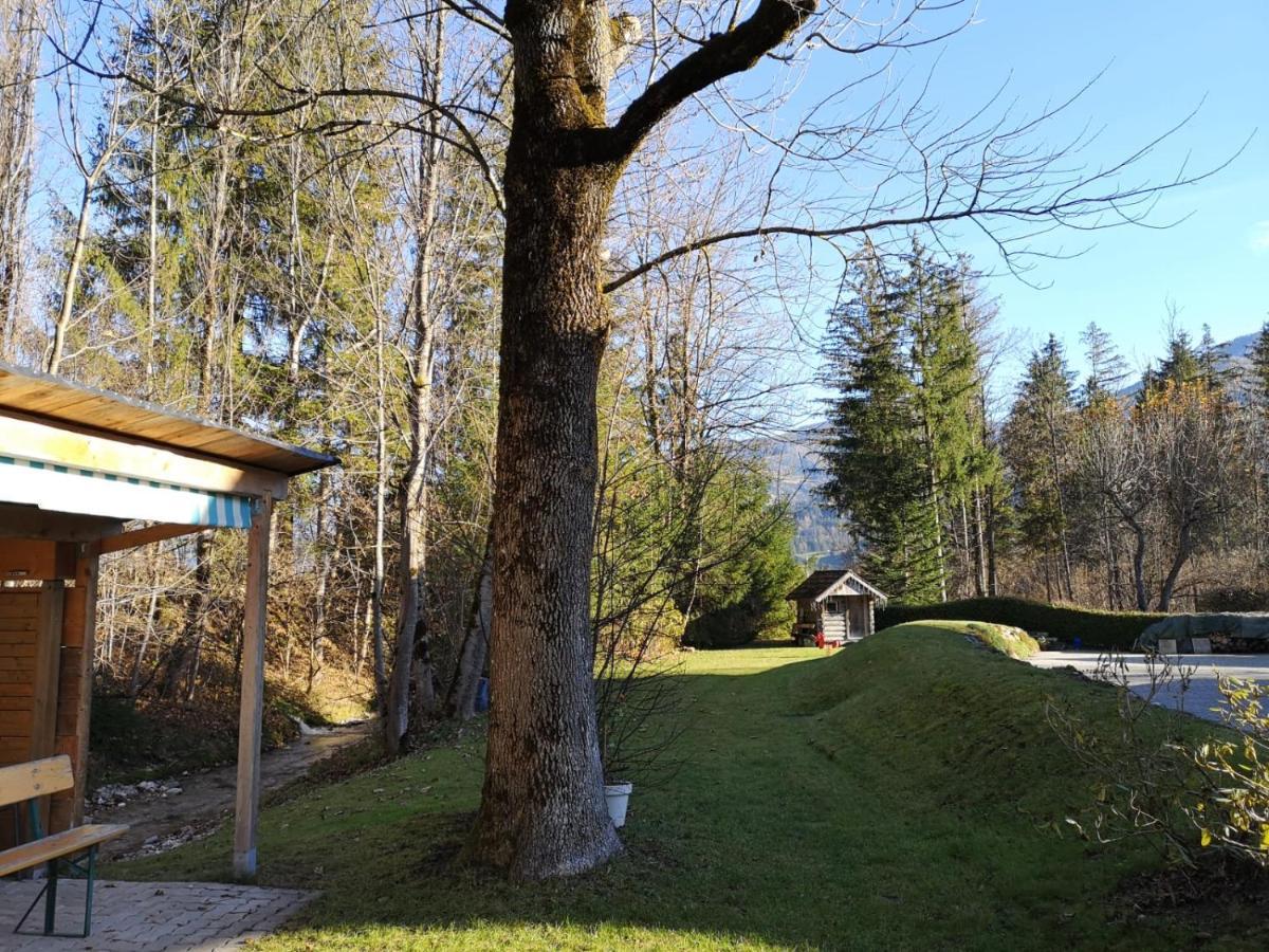 Etschbacher Haus im Ennstal Exterior foto